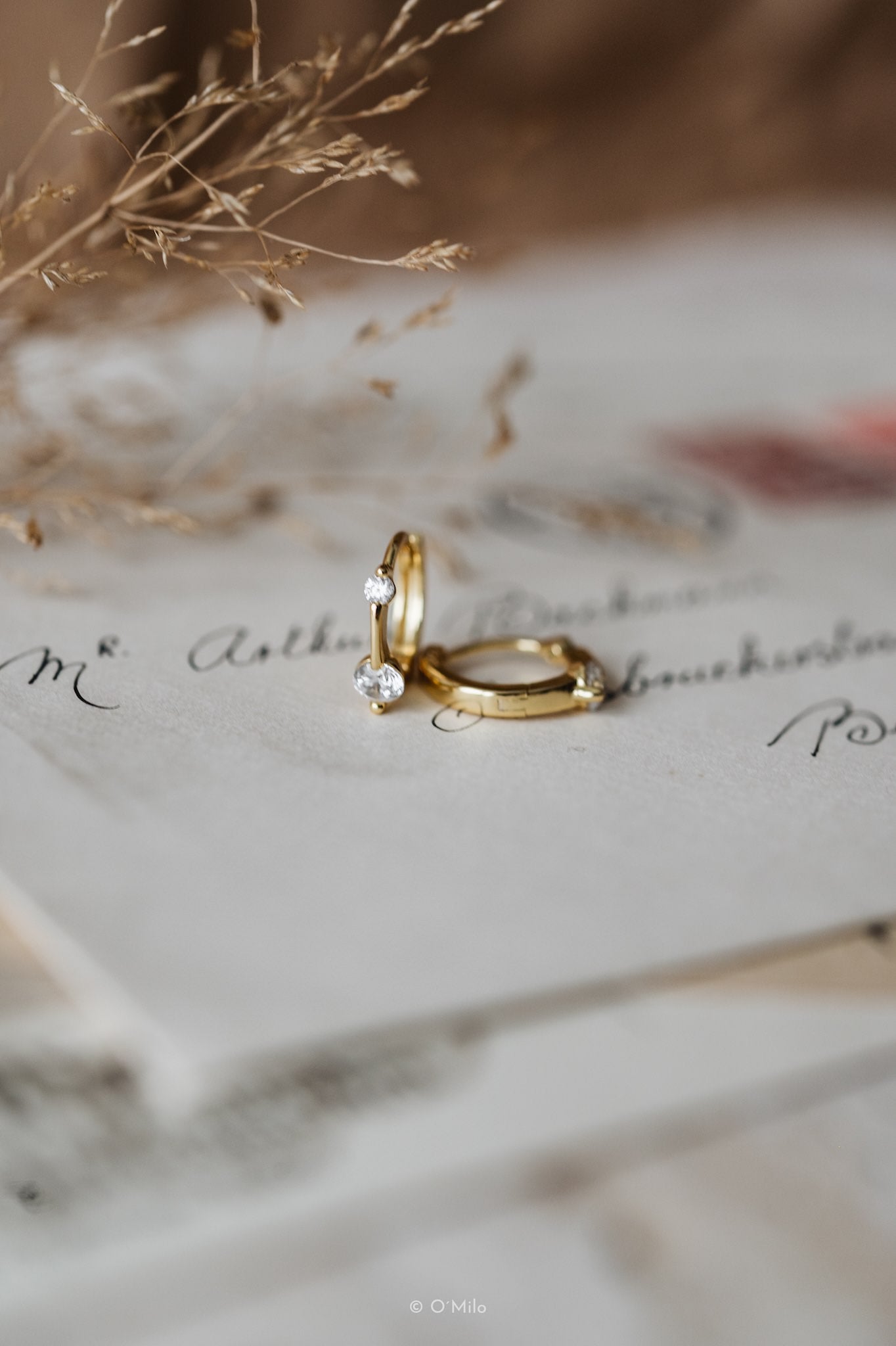 Twin Crystal Huggies. Evi