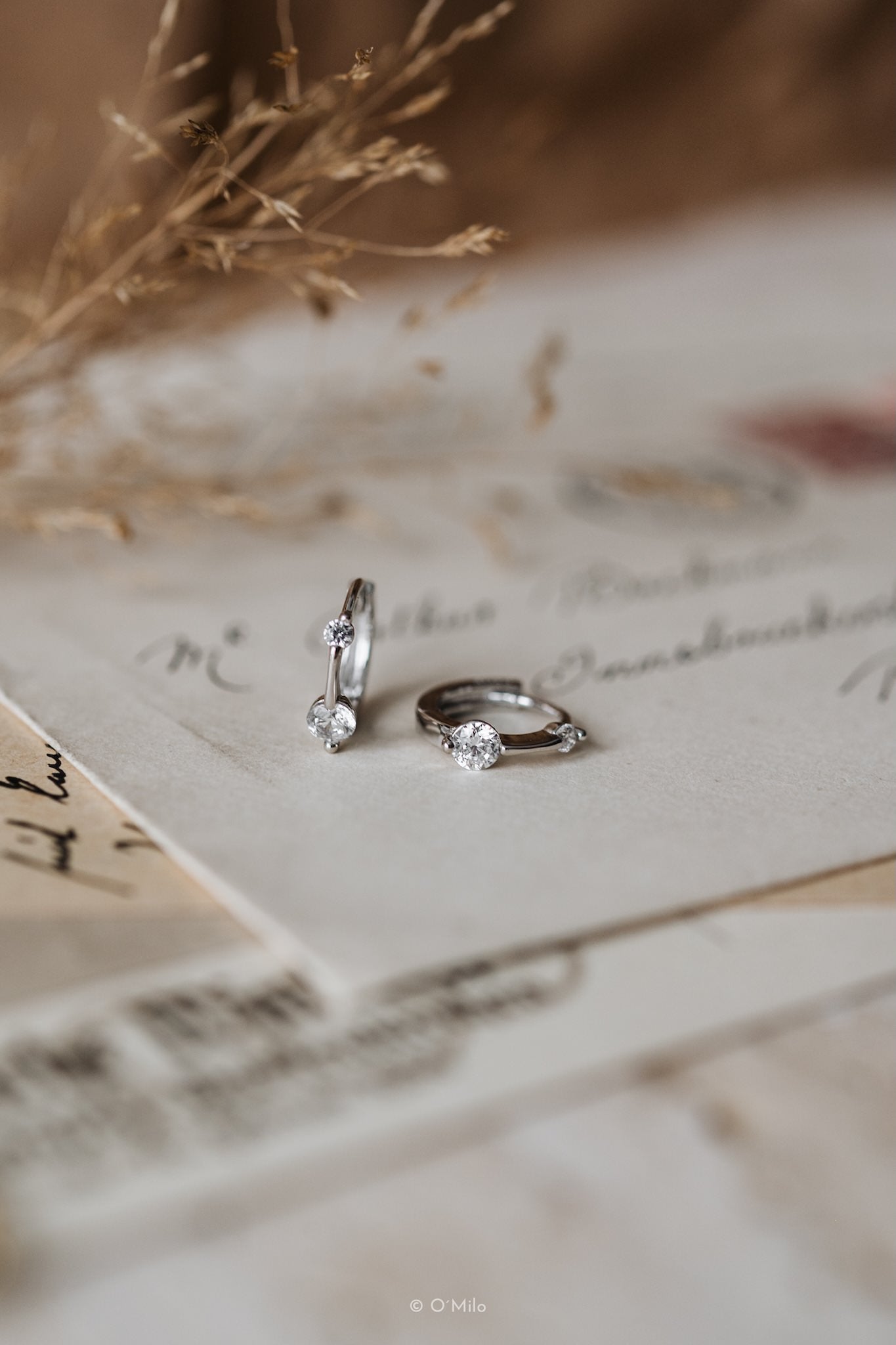 Twin Crystal Huggies. Evi