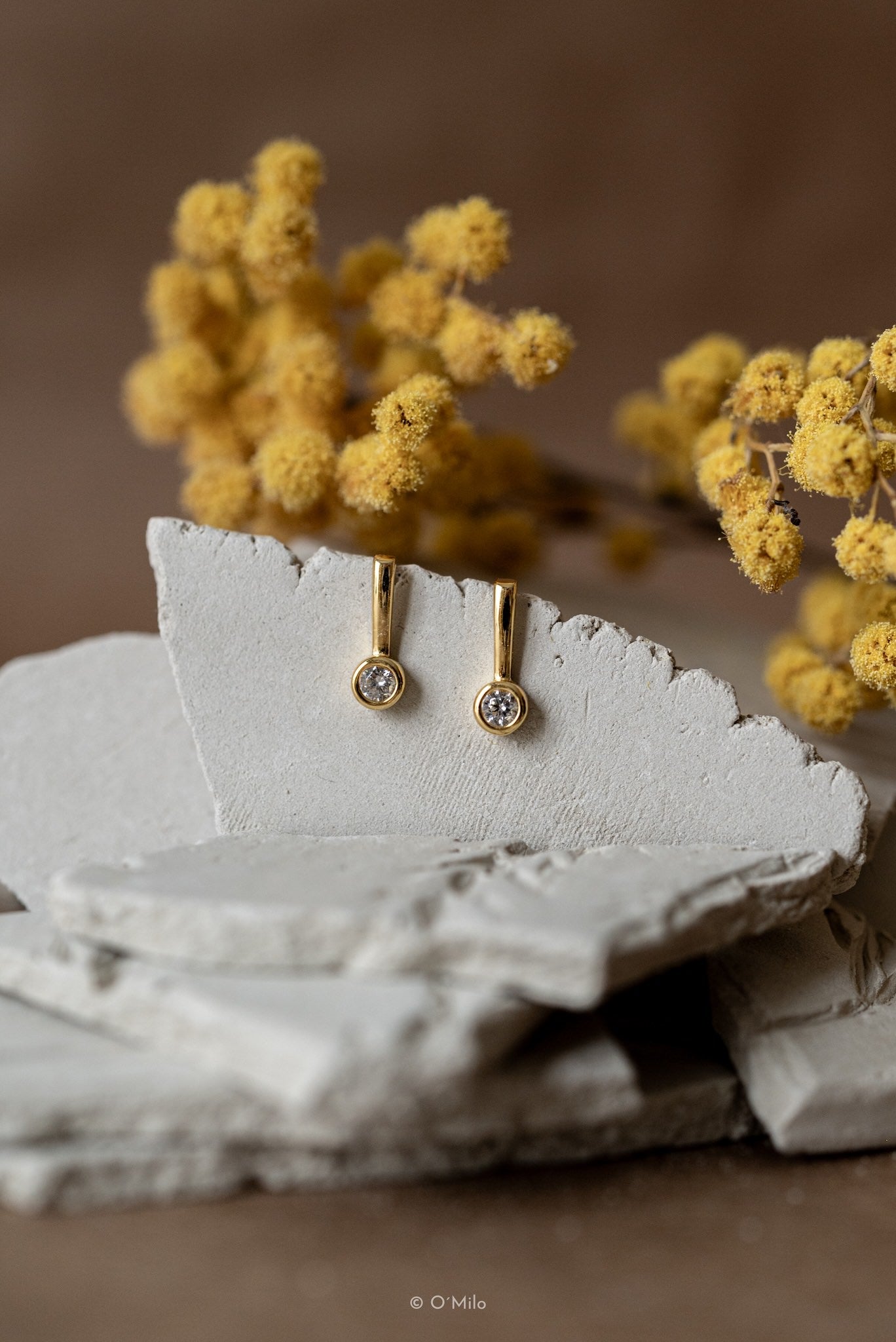 Delicate Graceful Drops. Solaris